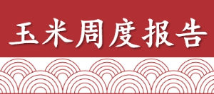 玉米双周报：震荡偏强，但空间有限（2025年6月6日当周）