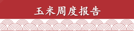 玉米双周报：震荡偏强，但空间有限（2025年6月6日当周）