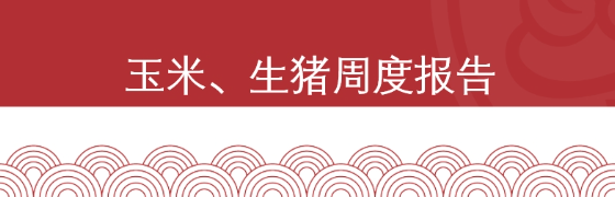【周报|玉米&生猪】玉米短期震荡，生猪震荡偏强（2026年1月16日当周）